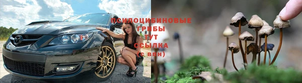 дмт Кулебаки