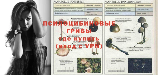 дмт Кулебаки