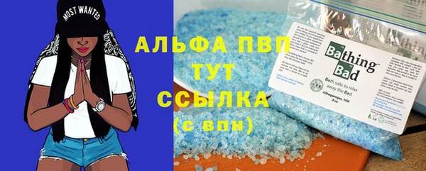 гидра Кукмор