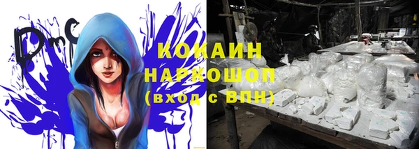 гидра Кукмор