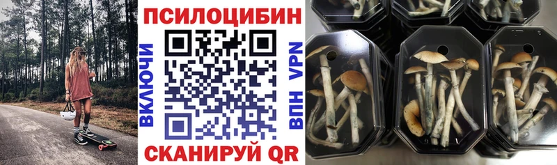 Псилоцибиновые грибы прущие грибы  где продают наркотики  МЕГА вход  Шимановск 